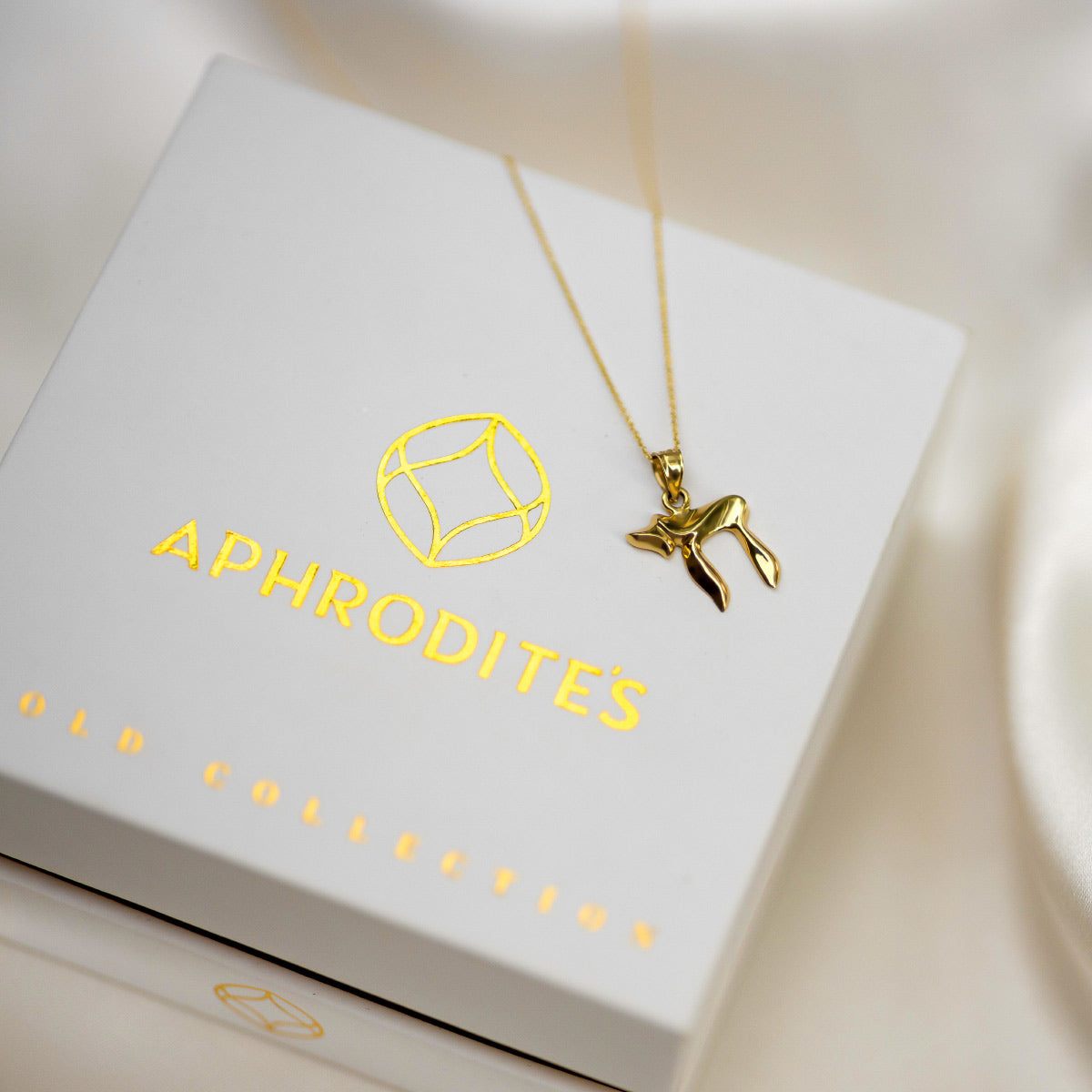 To Life - Solid Gold Chai Necklace Gift Set