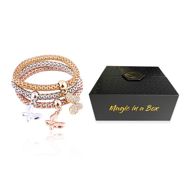 Magic in a Box - Solid Butterfly Charm Bracelet Gift Set