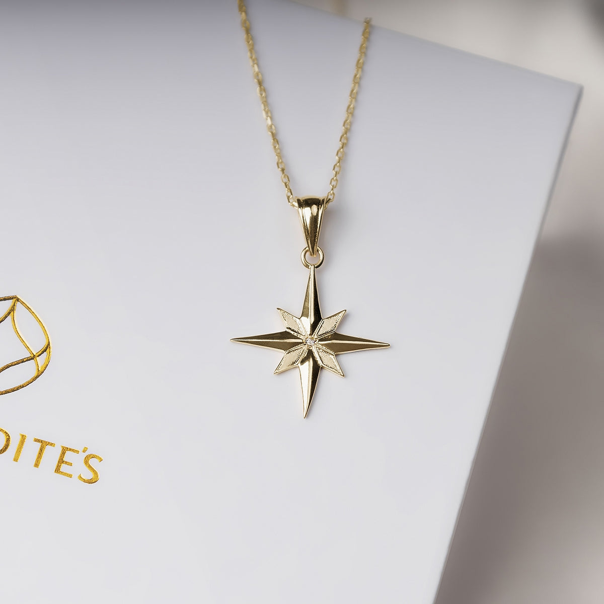 Twinkle, Twinkle - Solid Gold North Star Necklace Gift Set